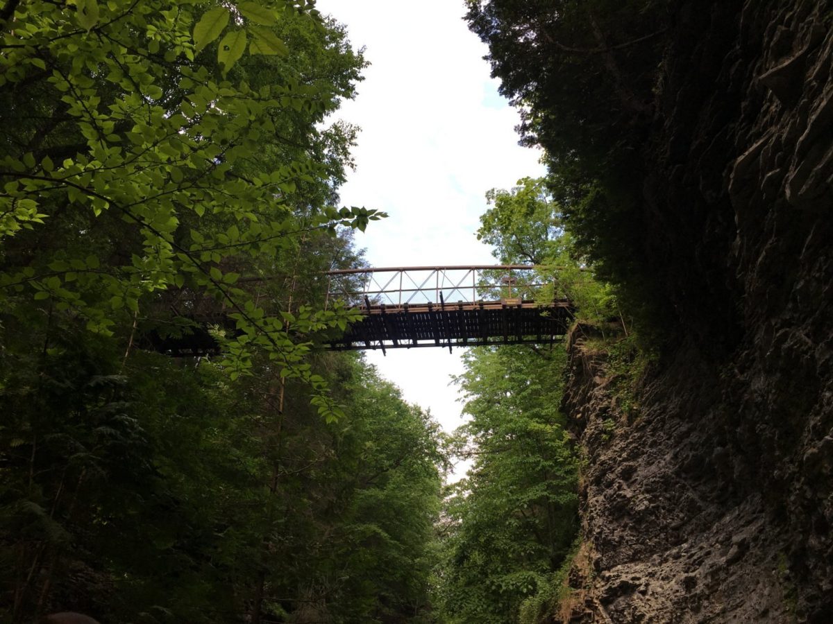 Our Adventure to Watkins Glen State Park in New York 79 Our Adventure to Watkins Glen State Park in New York 45