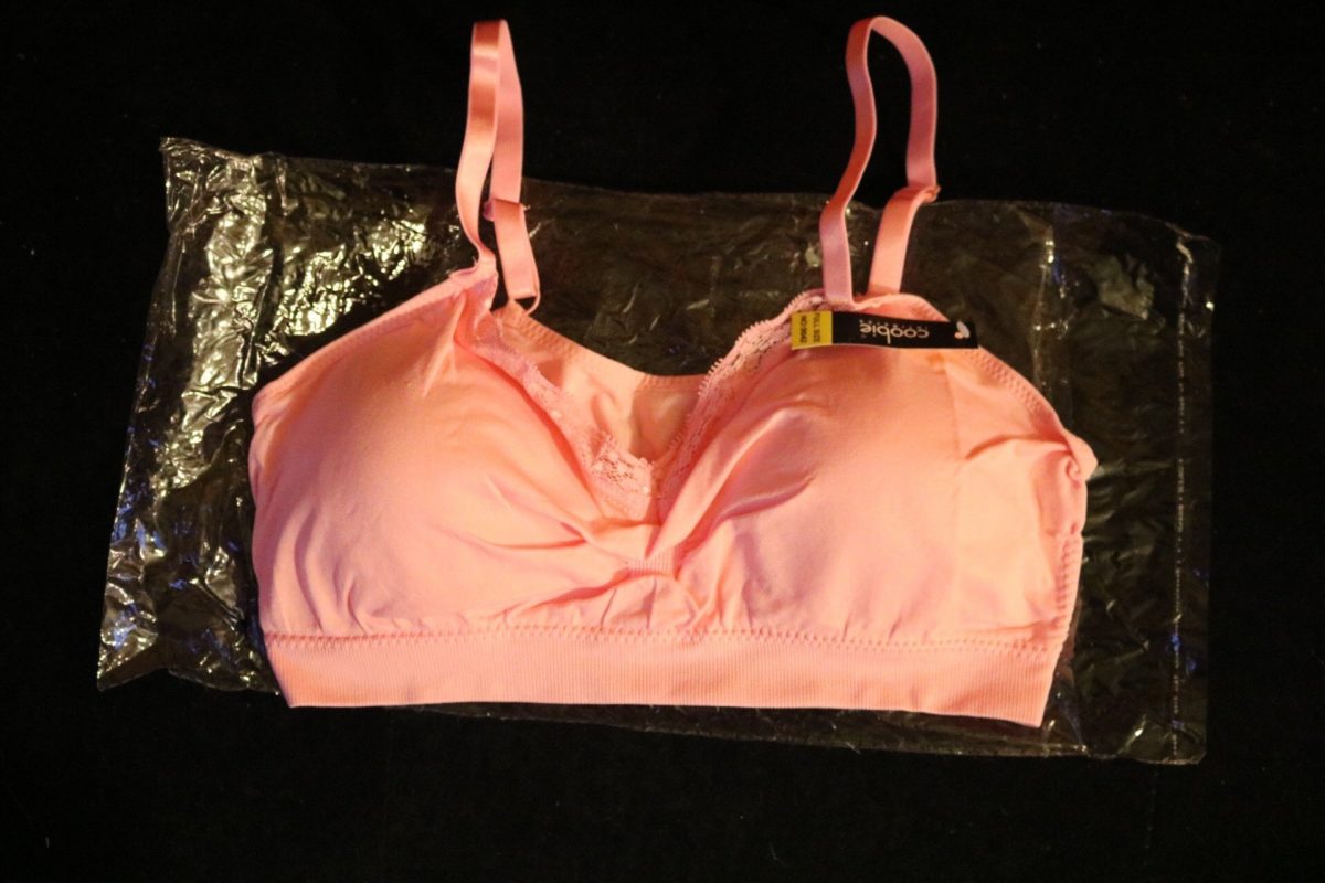 Coobie Seamless Bra Review & Giveaway (2 Winners) 17 Coobie Seamless Bra Giveawa