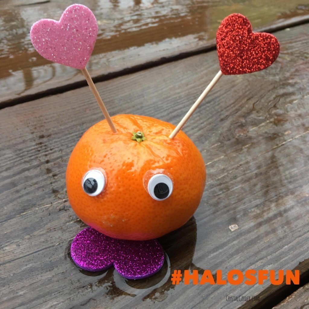 HalosFun Halos Love Bug