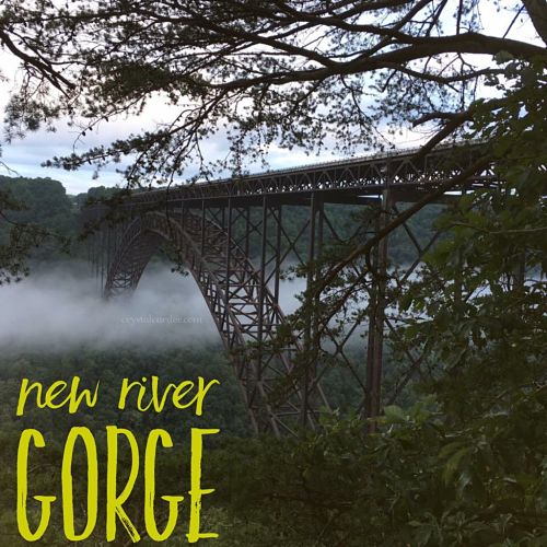 New River Gorge National Park WV hiking