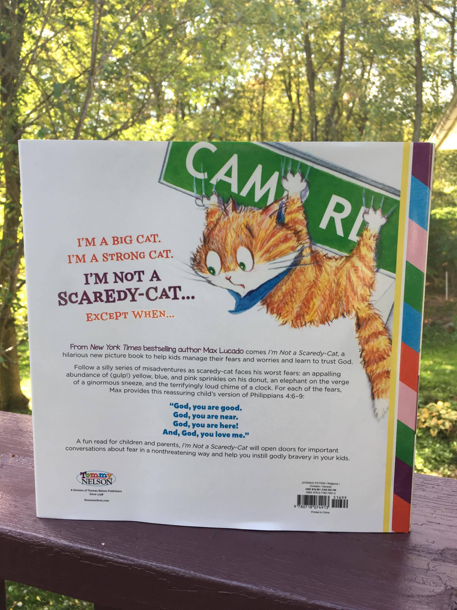 I'm Not A Scaredy Cat By Max Lucado Book Review 5 I'm Not A Scaredy Cat By Max Lucado Book Review
