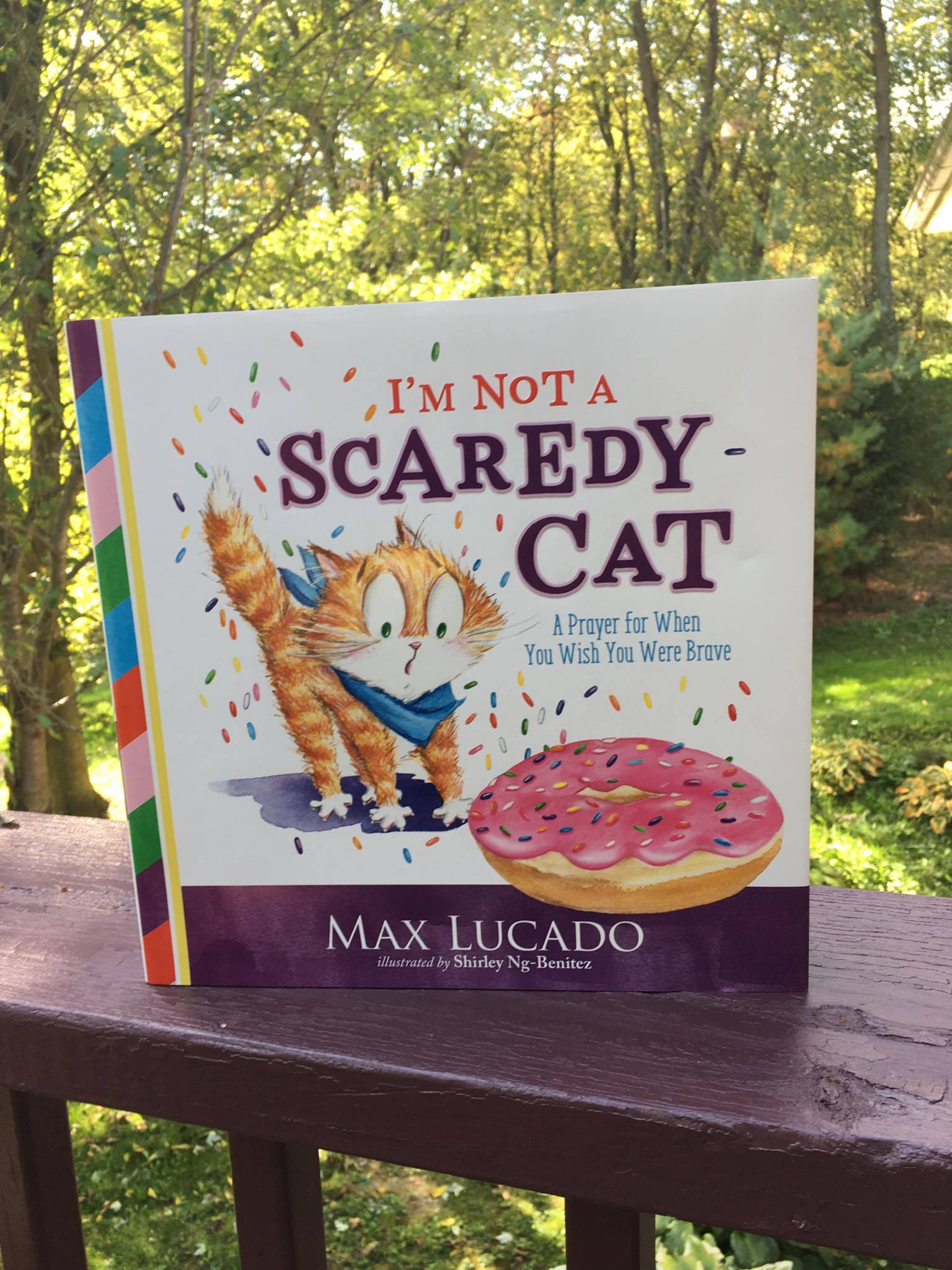 I'm Not A Scaredy Cat By Max Lucado Book Review 3 I'm Not A Scaredy Cat By Max Lucado Book Review