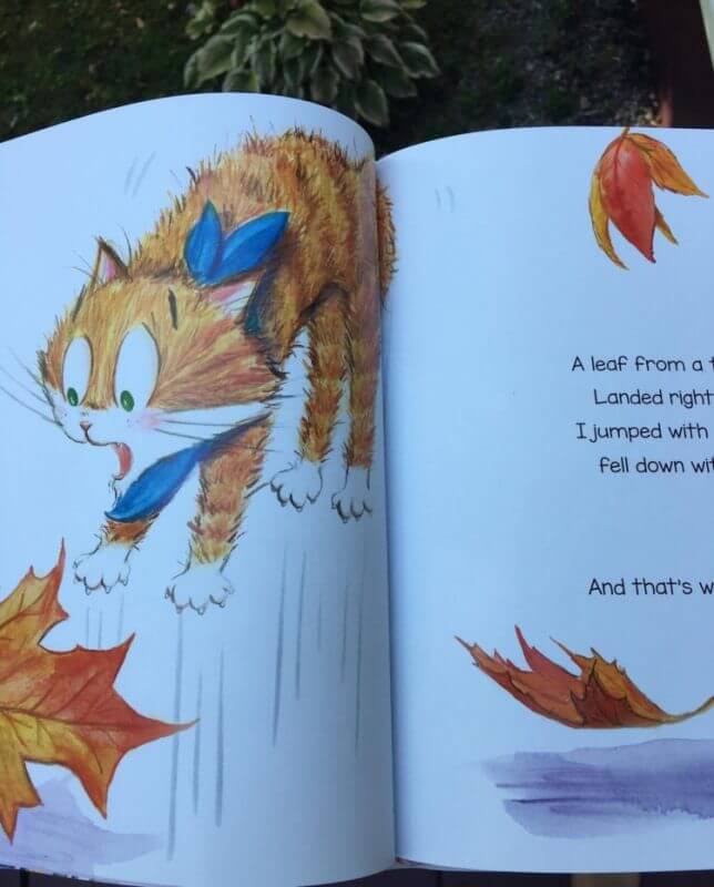 I'm Not A Scaredy Cat By Max Lucado Book Review 9 I'm Not A Scaredy Cat By Max Lucado Book Review