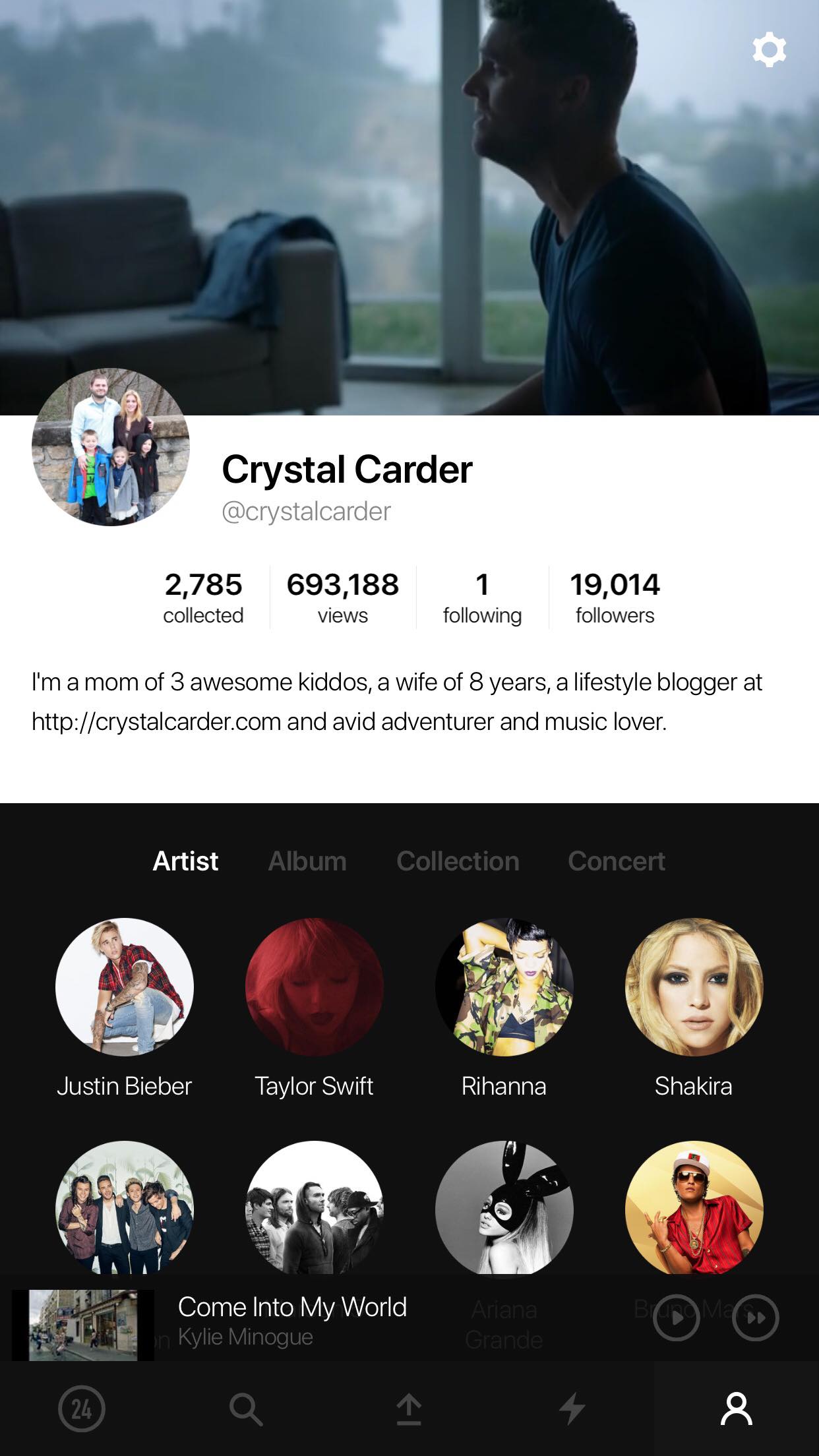 VIBBIDI PROFILE SECTION ABOUT ME COLLECTIONS ARTIST 