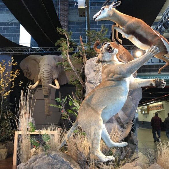 The Great American Outdoor Show