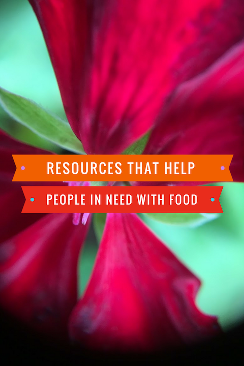 Simple Tips that Will Save You Hundreds on Your Grocery Bill 1
