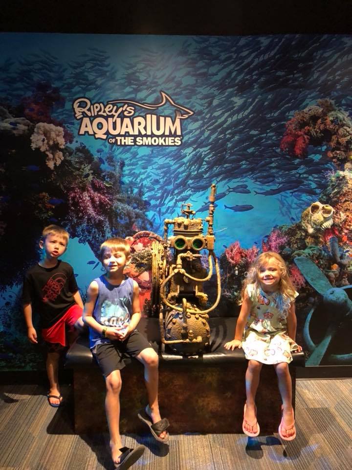 Ripley's 8 Attraction Pass in Gatlinburg and Pigeon Forge, Tennessee is it Worth It? My Family's Review 7 Ripley's 8 Attraction Pass in Gatlinburg and Pigeon Forge, Tennessee is it Worth It? My Family's Review 3