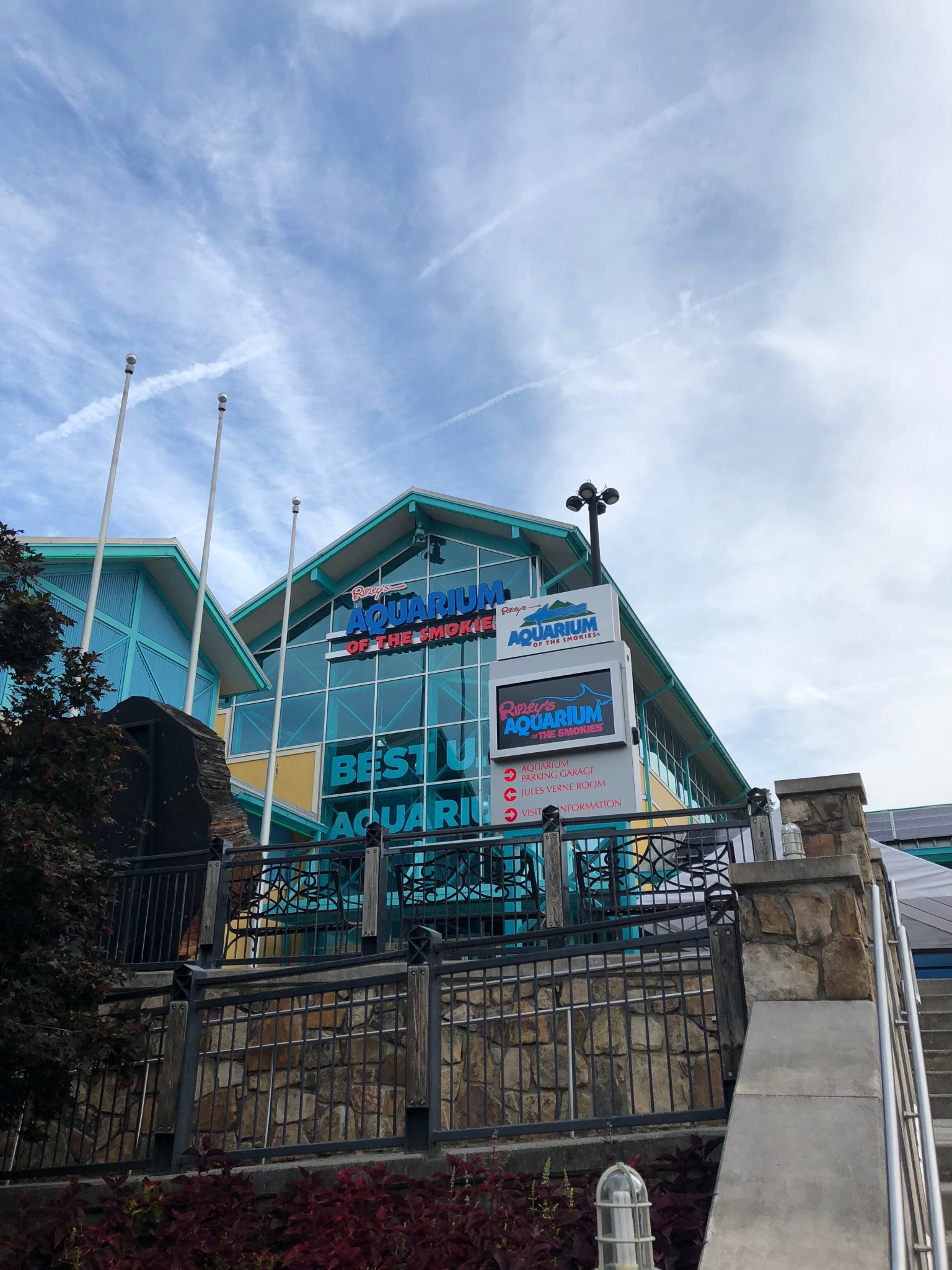 Ripley's 8 Attraction Pass in Gatlinburg and Pigeon Forge, Tennessee is it Worth It? My Family's Review 5 Ripley's Aquarium of the Smokies ad