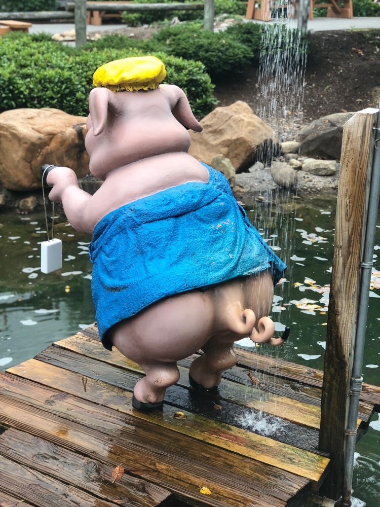 Ripley's 8 Attraction Pass in Gatlinburg and Pigeon Forge, Tennessee is it Worth It? My Family's Review 21 Ripley's 8 Attraction Pass in Gatlinburg and Pigeon Forge, Tennessee is it Worth It? My Family's Review 17