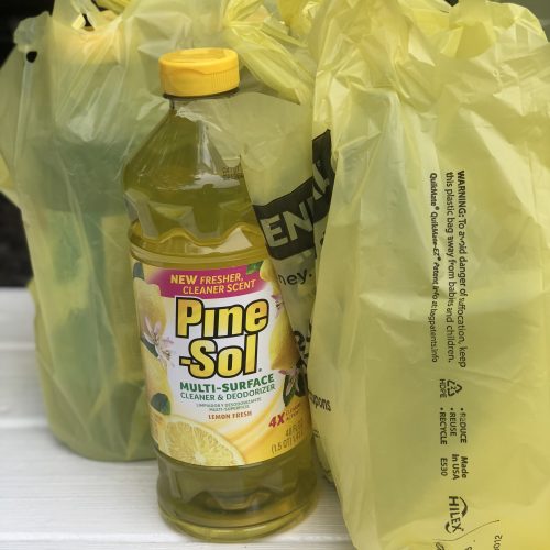 DG Deal on Pine-Sol