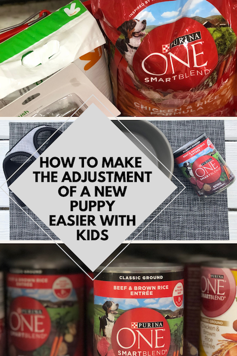 how to make the adjustment of a new puppy easier with kids ad 