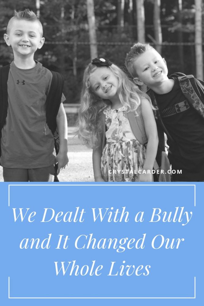 our story of a real bully and how it changed our whole family's life