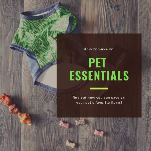 How to Save on Pet Essentials