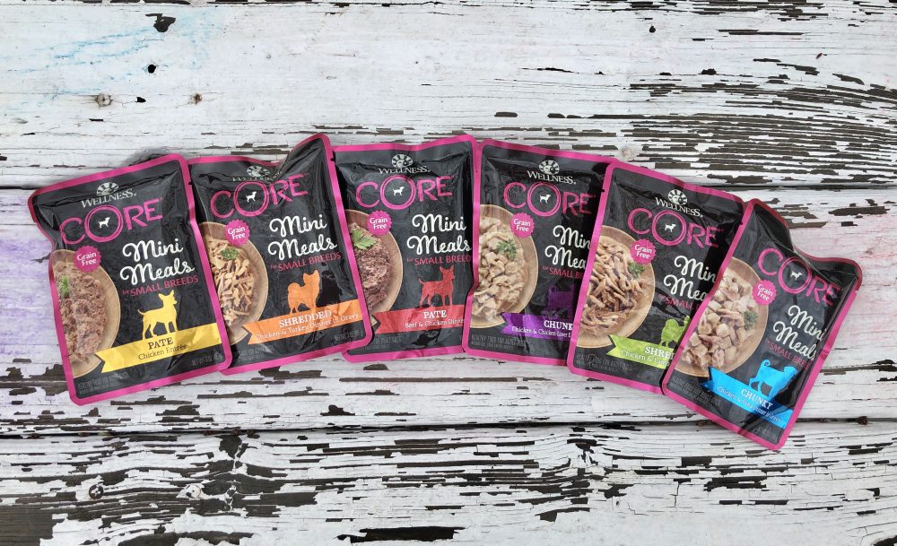 Wellness CORE Small Breed Dog Food is Perfect for Little Dogs Like Teddy 9