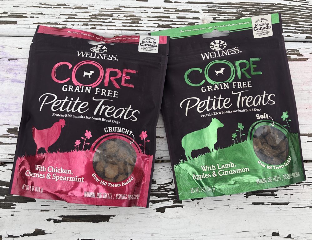 Wellness CORE Small Breed Dog Food is Perfect for Little Dogs Like Teddy 7