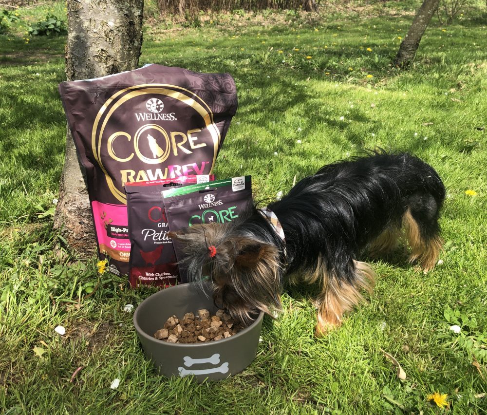 Wellness CORE Small Breed Dog Food is Perfect for Little Dogs Like Teddy 5