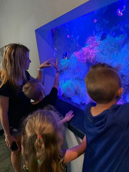 An Honest Review of the Pittsburgh Zoo & PPG Aquarium 19 An Honest Review of the Pittsburgh Zoo & PPG Aquarium 3