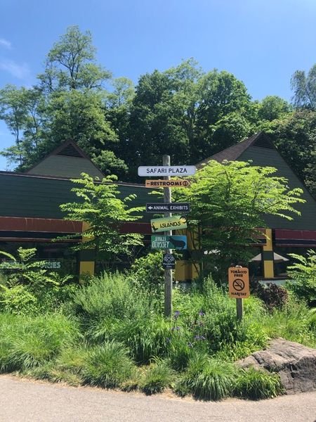 An Honest Review of the Pittsburgh Zoo & PPG Aquarium 9 Islands at the Pittsburgh Zoo