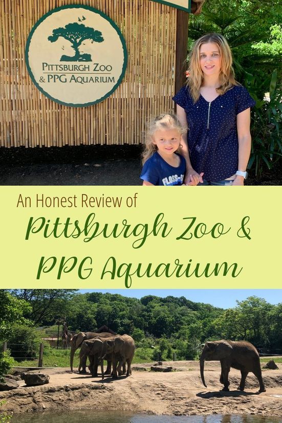 An Honest Review of the Pittsburgh Zoo & PPG Aquarium 21 An Honest Review of Pittsburgh Zoo and PPG Aquarium