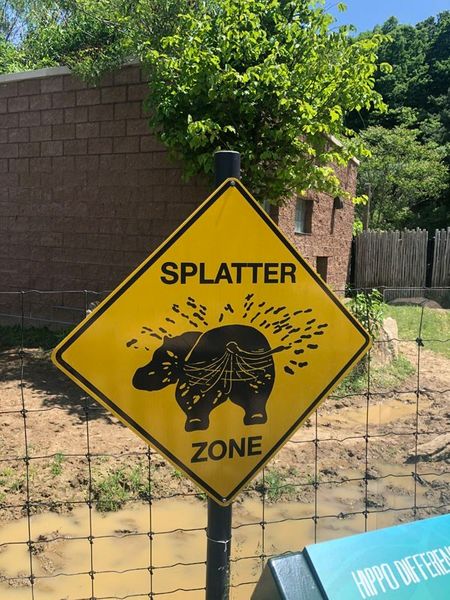 An Honest Review of the Pittsburgh Zoo & PPG Aquarium 11 Splatter Zone in the Islands at Pittsburgh Zoo