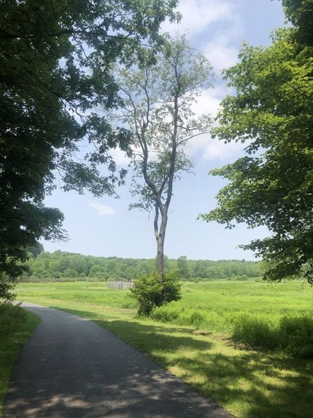 A peaceful walk to fort necessity