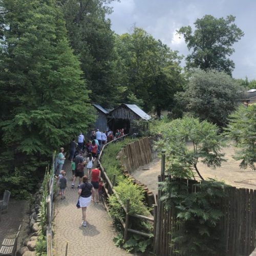 Erie Zoo