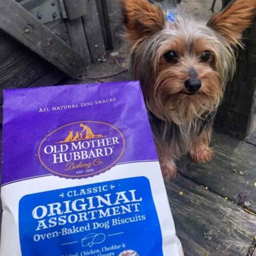 Keep Your Pet Happy with Old Mother Hubbard Dog Snacks