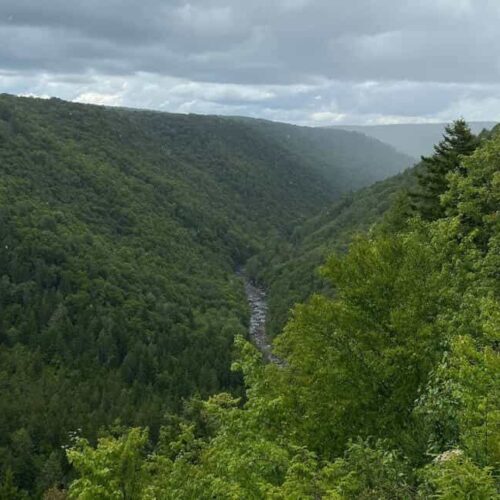 View of Blackwater River, WV
