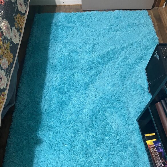 the amazon rug you'll Love for less than 15