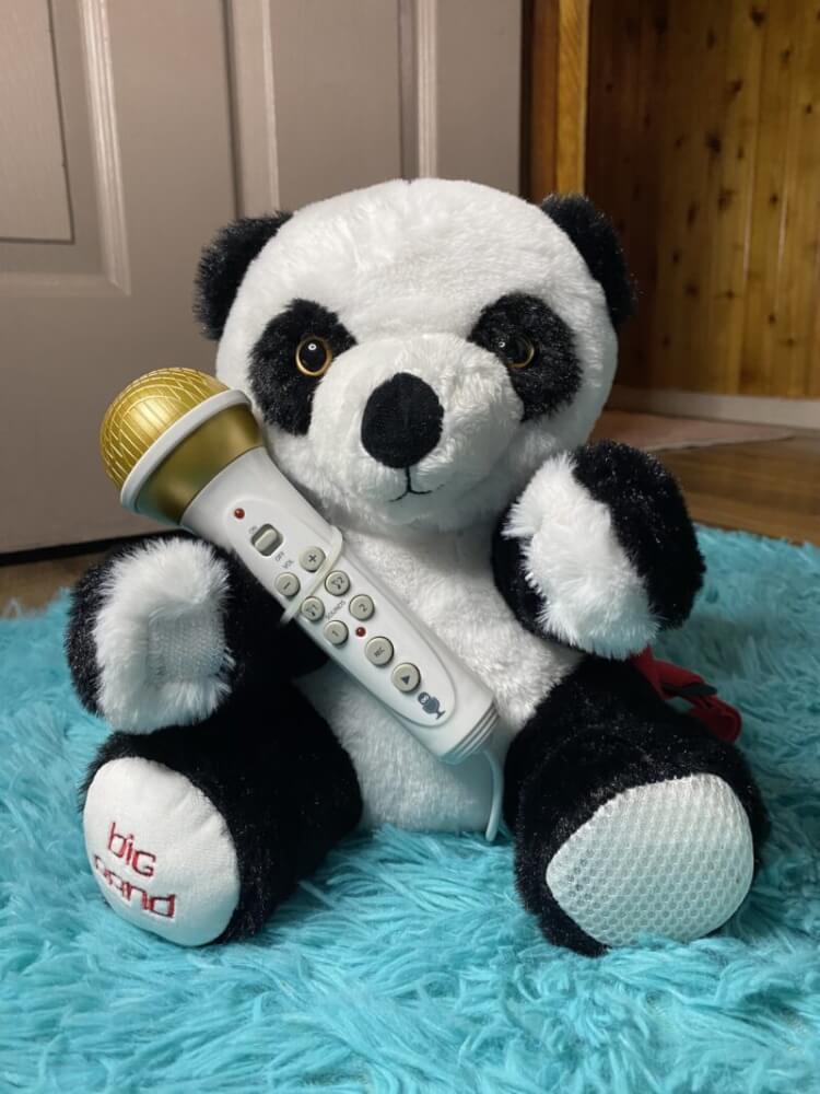 My Kids Are Obsessed with the NEW Sing-Along-Crew from Singing Machine 13 My Kids Are Obsessed with the NEW Sing-Along-Crew from Singing Machine 13