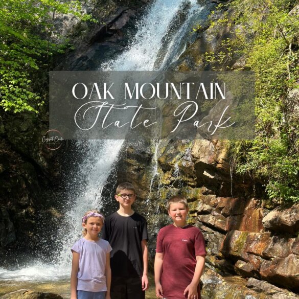 Oak Mountain State Park in Pelham, Al 9
