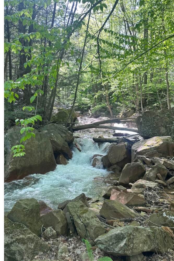 Pringle Run Falls in Kingwood, West Virginia is WV's Best Waterfall! 17 near Pringle run falls