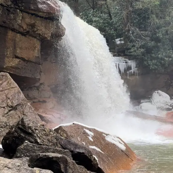 Douglas falls Thomas wv
