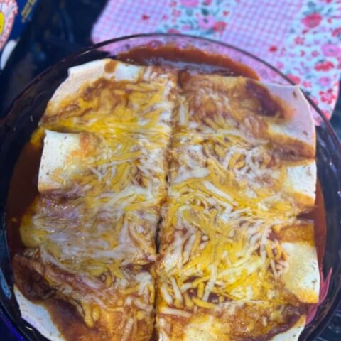 The Simplest Chicken Enchilada Recipe 1