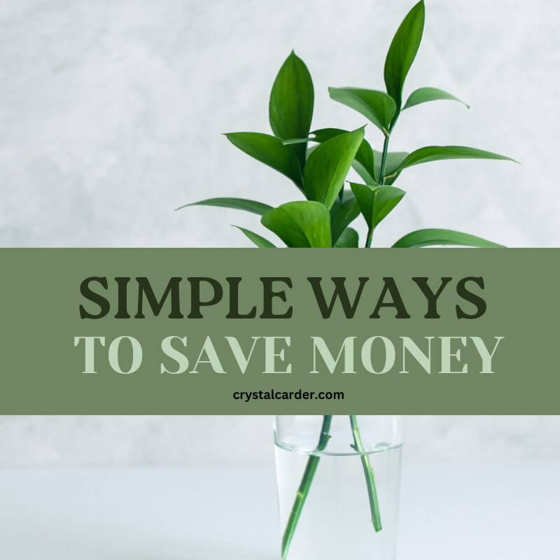 15 Simple Ways for Families to Save Money 1