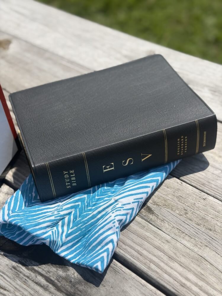 ESV Study Bible Large Print Review: Is It Worth Buying? 7 ESV Study Bible Large Print Review: Is It Worth Buying? 7