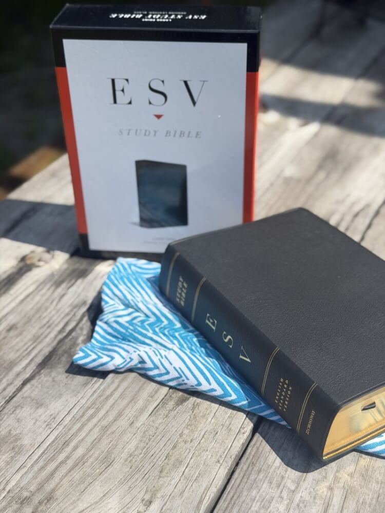 ESV Study Bible Large Print Review: Is It Worth Buying? 9 ESV Study Bible Large Print Review: Is It Worth Buying? 9