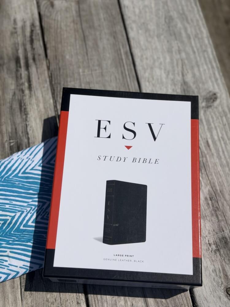ESV Study Bible Large Print Review: Is It Worth Buying? 3 ESV Study Bible Large Print Review: Is It Worth Buying? 3